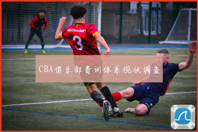 CBA俱乐部青训体系现状调查
