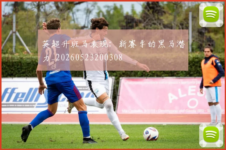 英超升班马表现:新赛季的黑马潜力_20260523200308