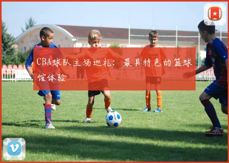 CBA球队主场巡礼:最具特色的篮球馆体验
